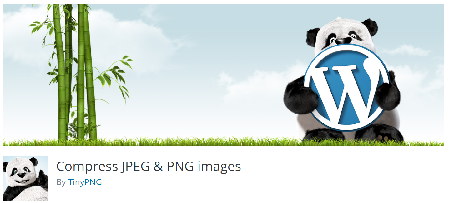 Tiny png