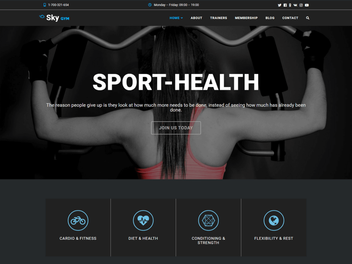 skywp theme