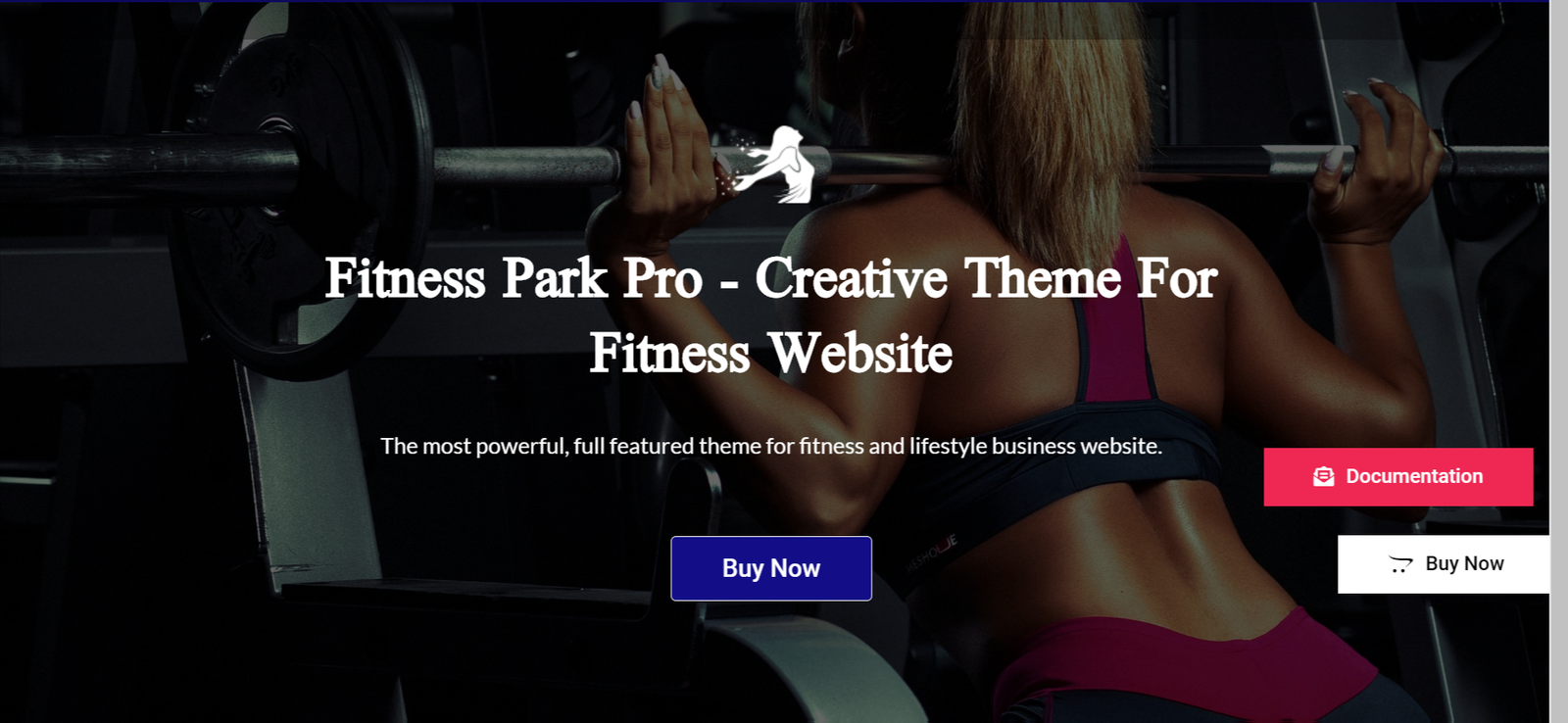 Fintenss Park Pro theme