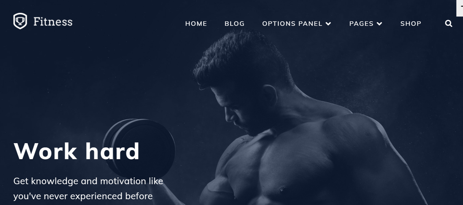 Premium WordPress Fitness Themes